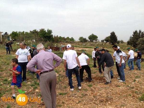 ludandyaffazaitoon (32).JPG